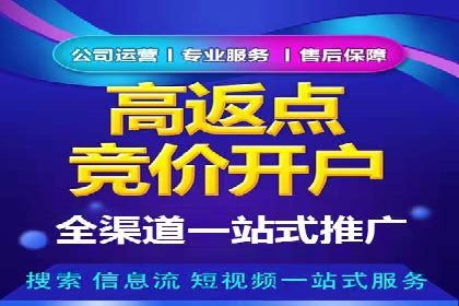 某品牌SEM广告投放的ROI提升案例